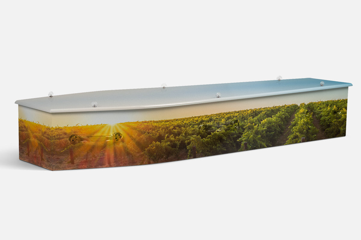 Barossa Valley coffin in sunset vineyard rows under a soft golden sky, photographic