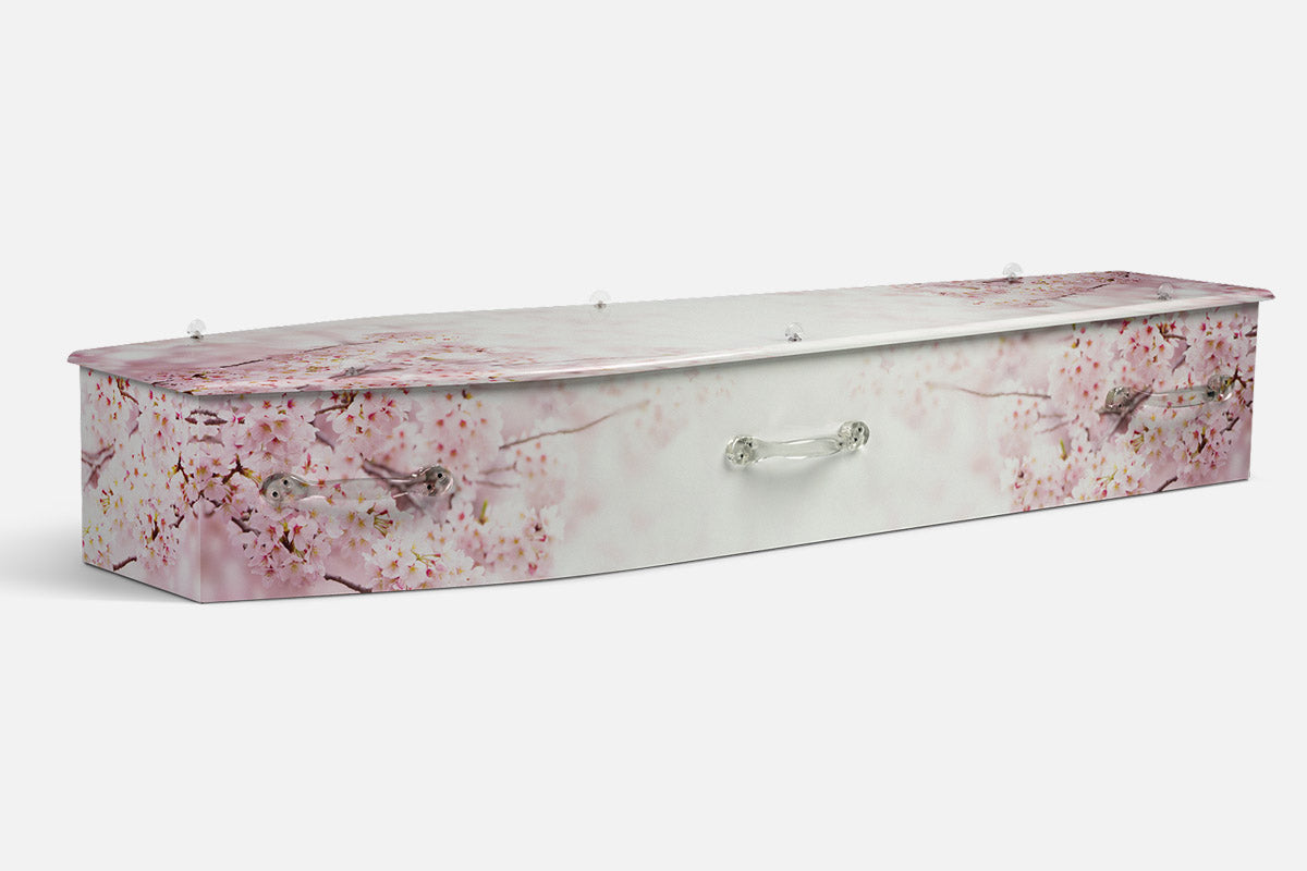 Blossom Bliss coffin in pink and white cherry blossom branches on a pale background