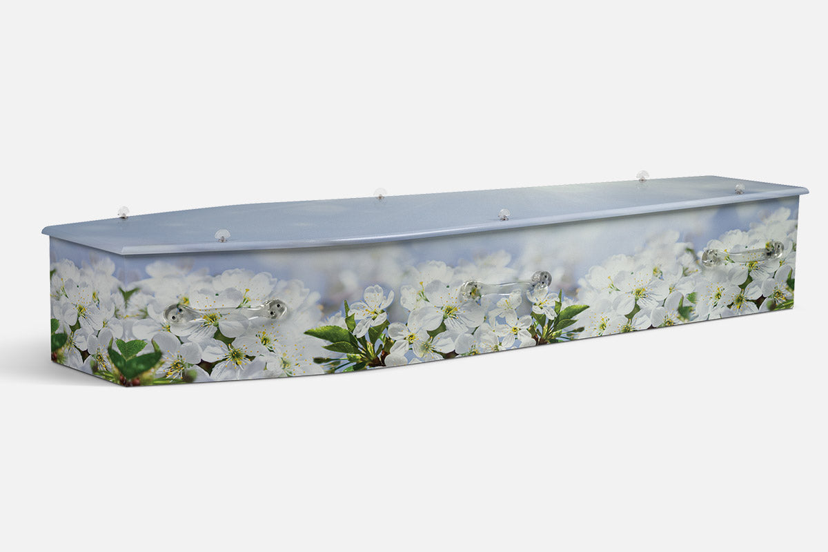 Blossom Elegance coffin in white blossoms with yellow centres over a soft blue background