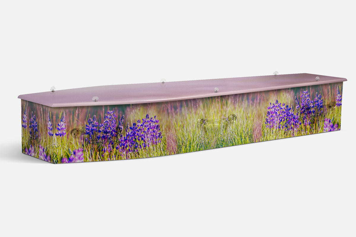 Blue Bells coffin in purple wildflower spikes rising through tall green grass