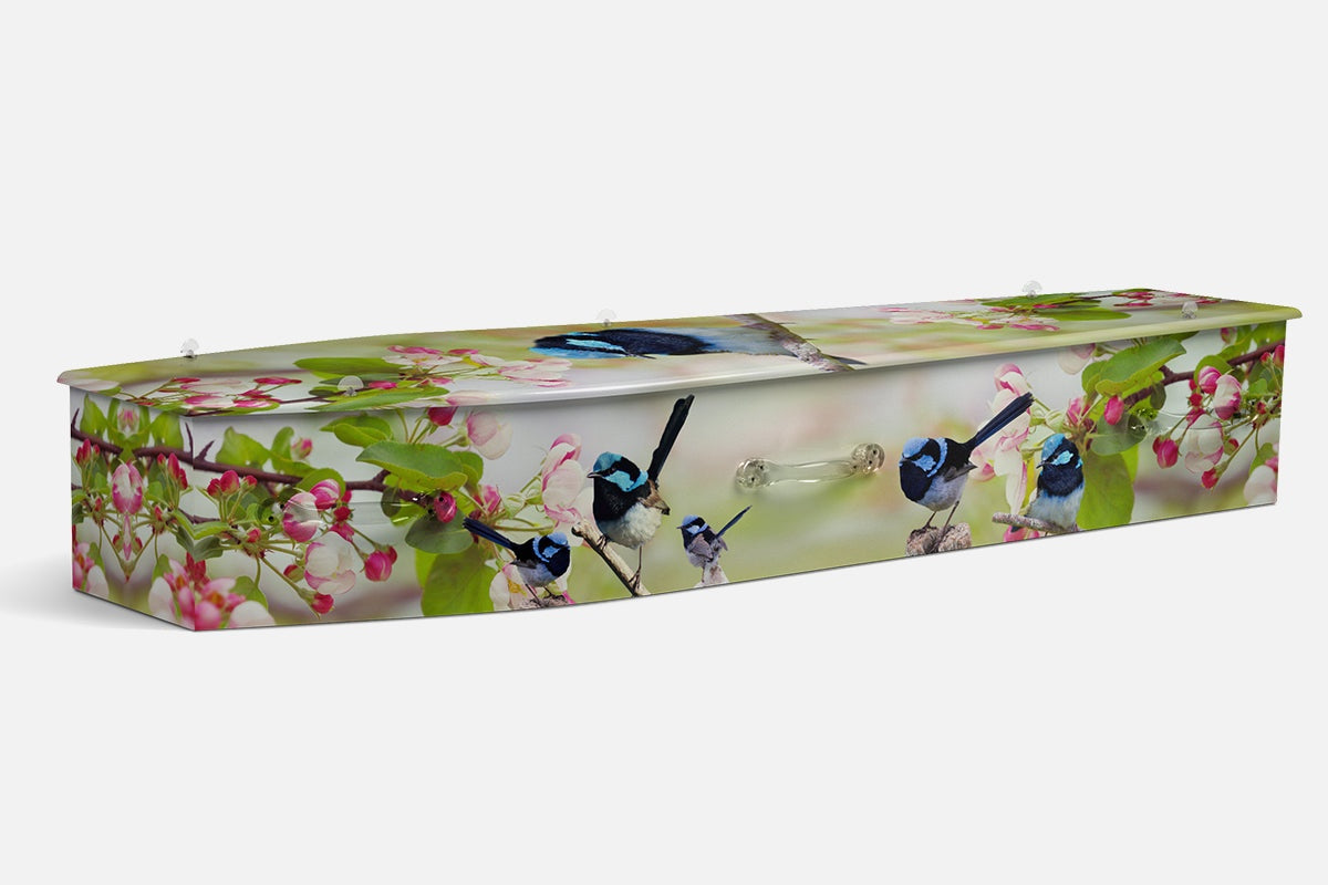 Blue Wrens coffin in pastel photographic blossom with small blue and black fairy wrens on branches