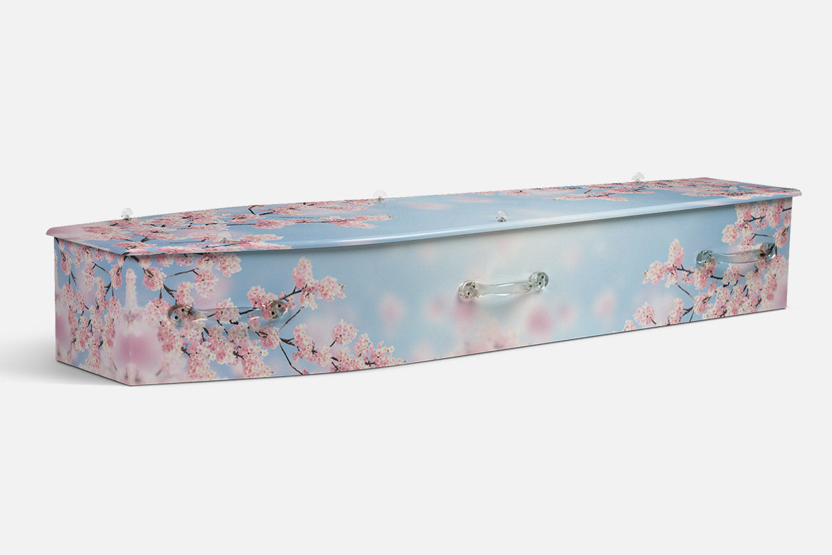 Cherry Blossom coffin in pink and white blossom branches against a pale blue sky