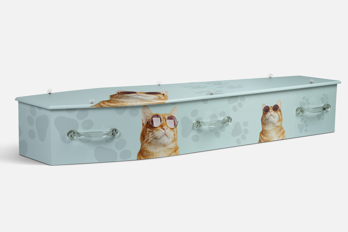 Cool Cats coffin in pale blue with paw prints and ginger tabby cats wearing round sunglasses