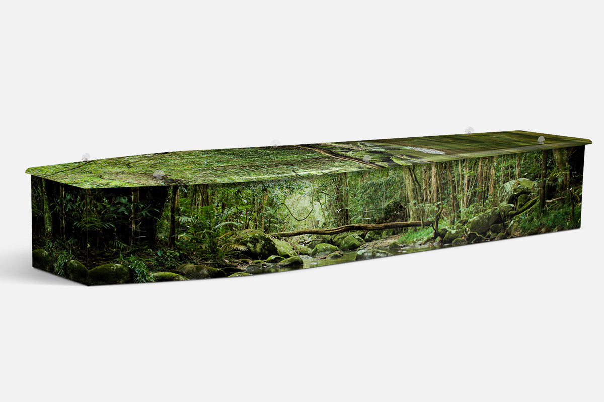 Daintree coffin in a photographic rainforest creek scene with mossy rocks and dense green forest