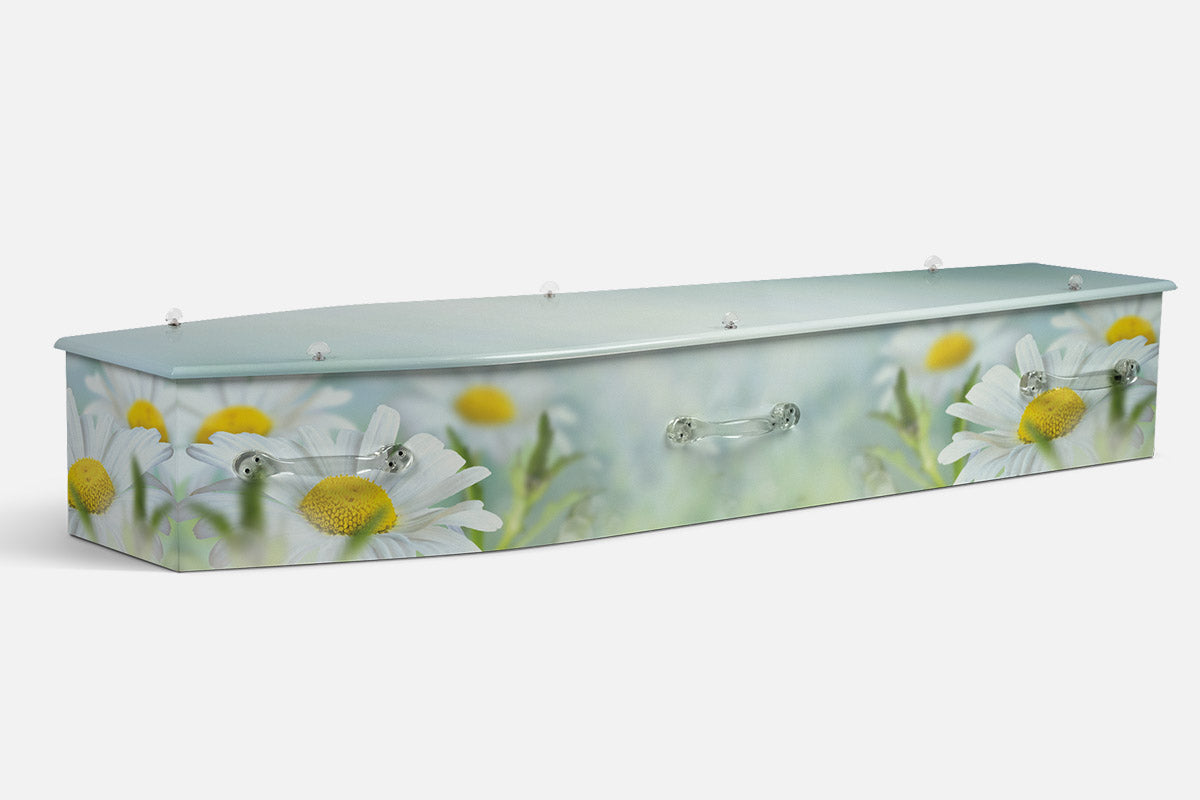 Daisy Serenity coffin in white daisies with yellow centres over a soft blue green blur