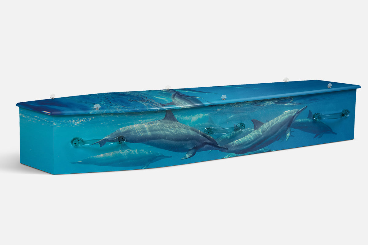 Dolphins coffin in a photographic teal underwater scene with a pod of dolphins swimming together