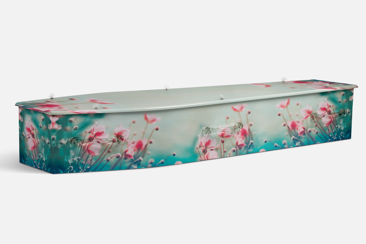 Dreamy Cosmos coffin in pink cosmos flowers scattered over a soft teal gradient