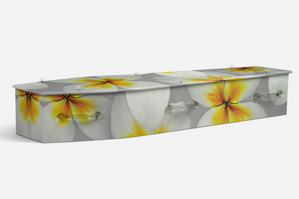 Frangipanis coffin in oversized grey toned petals with white frangipani flowers and golden centres