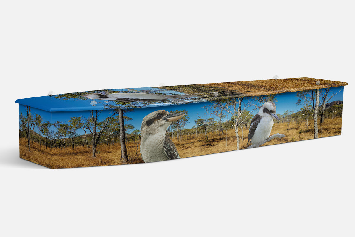 Kookaburra coffin in a photographic bushland scene with two kookaburras among gum trees