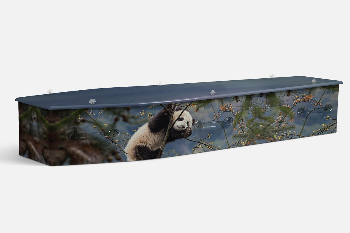 Panda coffin in a photographic scene of a panda cub climbing a tree branch among green foliage