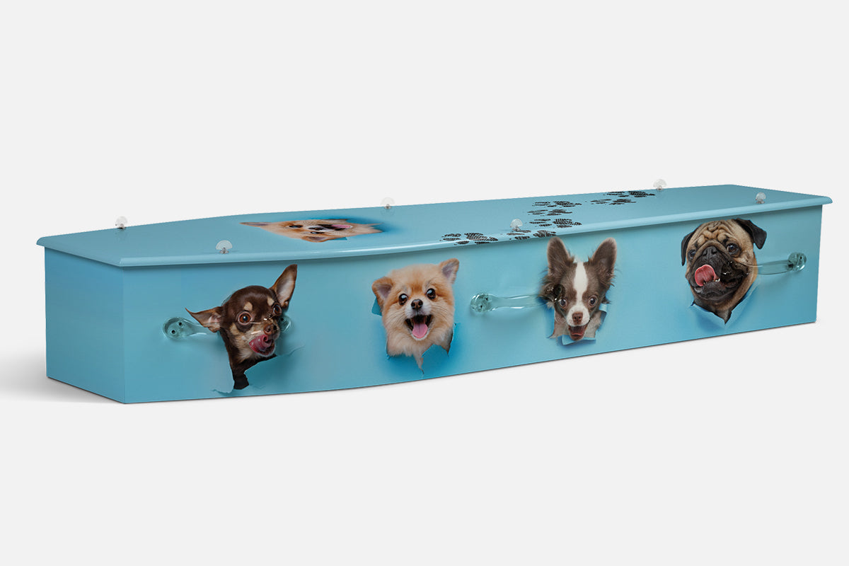 Puppies coffin in a photographic design of five puppy faces poking through torn blue paper with paw prints