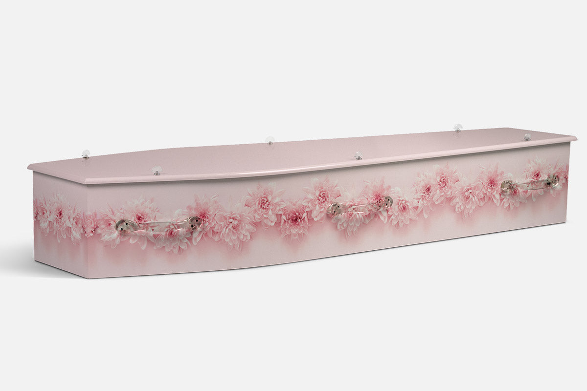 Soft Pink coffin in a photographic band of pale pink chrysanthemum blooms across a pink background