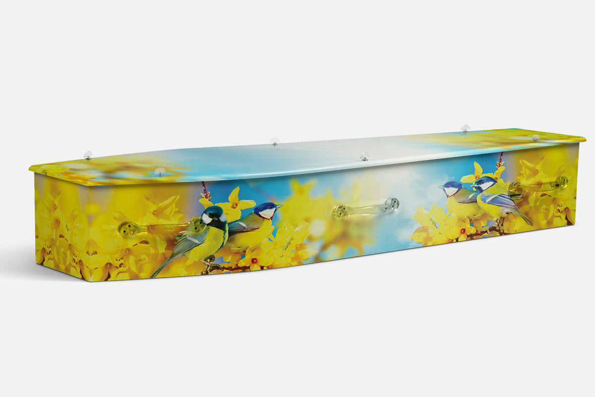 Songbird Serenade coffin in a photographic design of two blue and yellow birds among yellow blossom