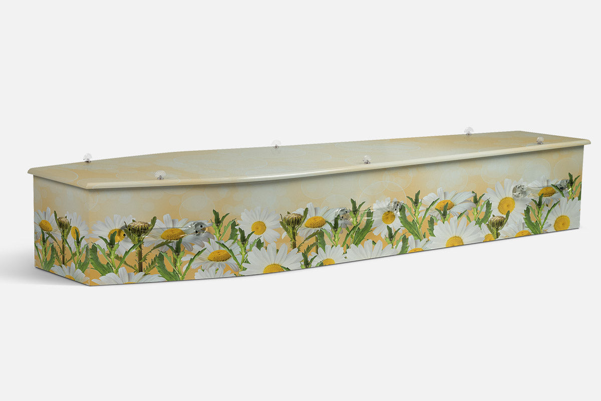 Sunny Meadow coffin in a photographic design of white daisies with yellow centres in a meadow