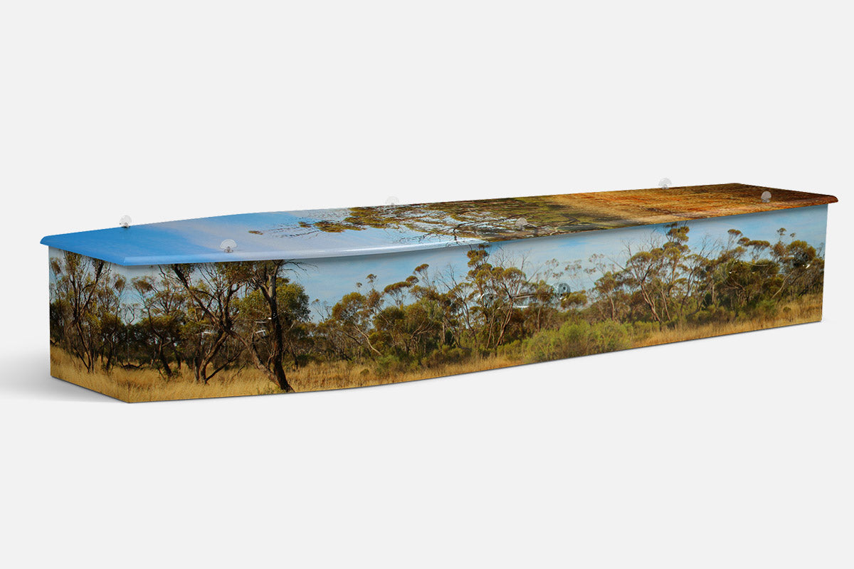 The Bush coffin in a photographic scene of gum trees, golden grass and a clear blue sky