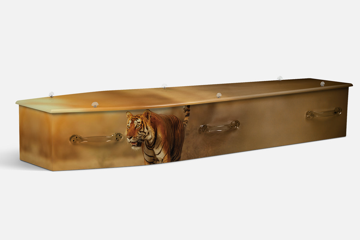 The Tiger coffin in a photographic scene of a tiger walking through golden grassland at dusk