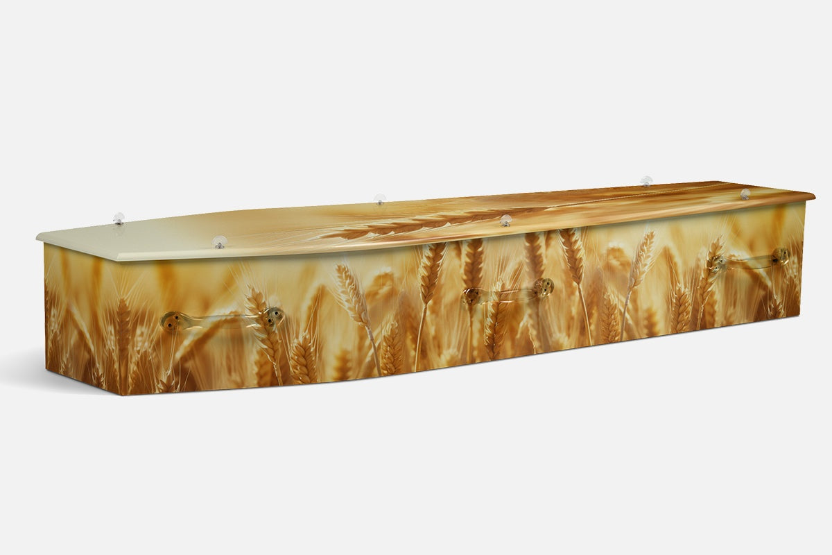 Wheat coffin in a close photographic view of golden wheat ears under a pale cream sky
