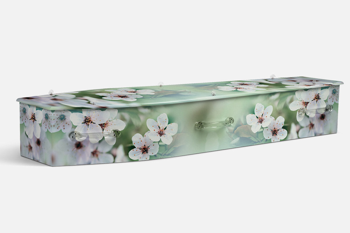 White Blossoms coffin in a photographic print of white cherry blossoms on a soft green background