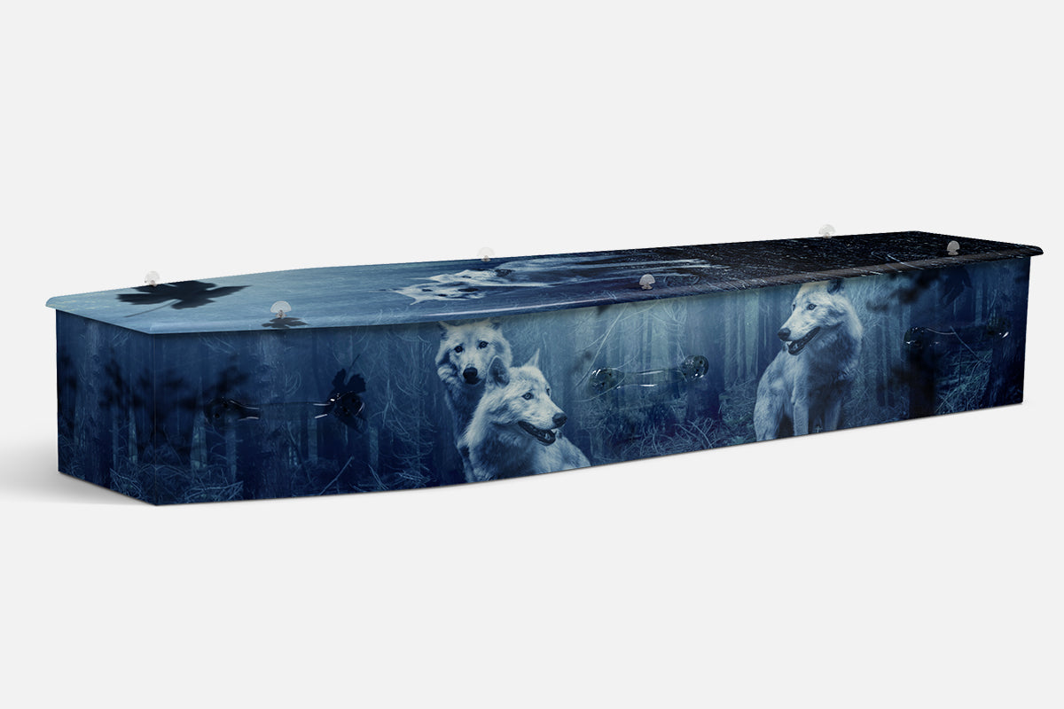 Wolves coffin in a photographic night forest scene with pale wolves among blue toned trees